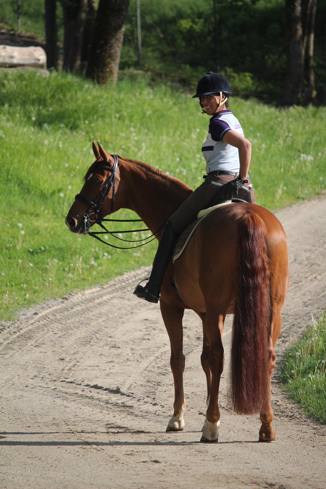 Rider looking back while sitting on a chestnut horse