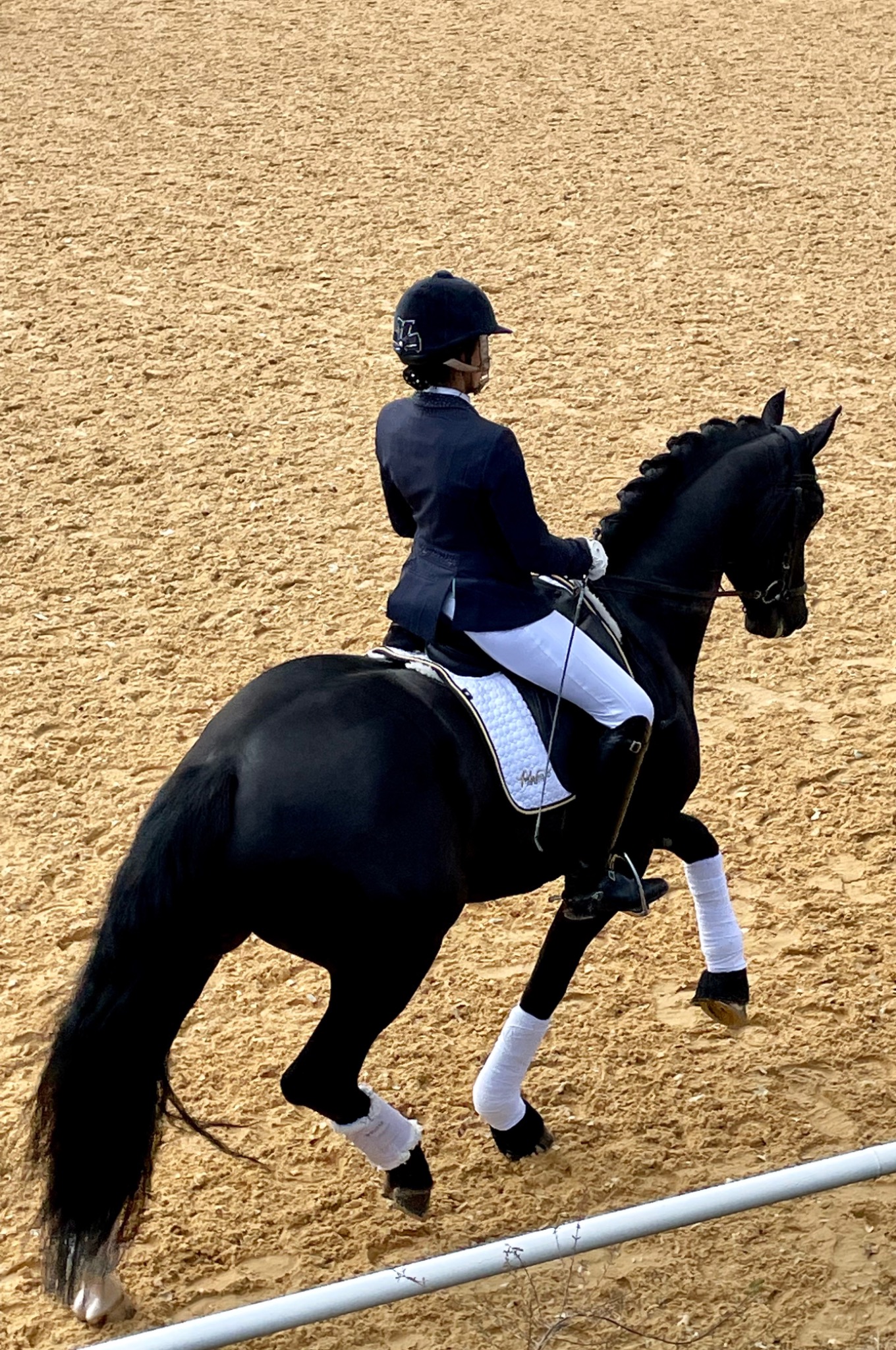 Rider with a black dressage horse